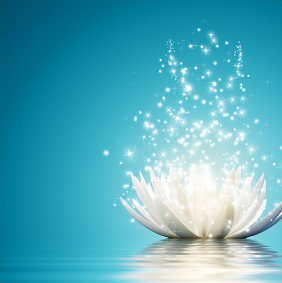 Sofia Lobo Cera - Consultora de Feng Shui